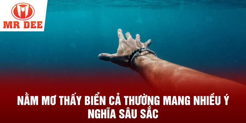 Nằm mơ thấy biển cả thường mang nhiều ý nghĩa sâu sắc