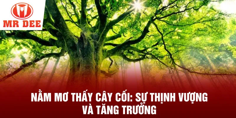 Nằm mơ thấy cây cối: sự thịnh vượng và tăng trưởng