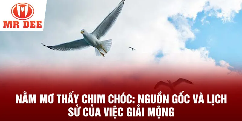 Nằm mơ thấy chim chóc: nguồn gốc và lịch sử của việc giải mộng