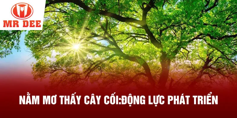 Nằm mơ thấy cây cối: động lực phát triển