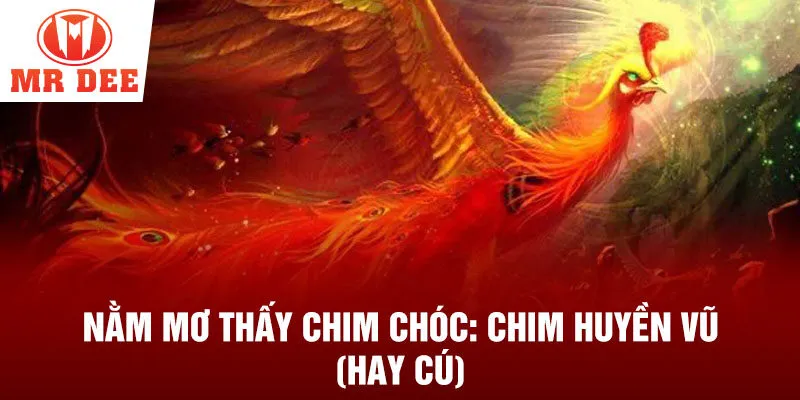 Nằm mơ thấy chim chóc: chim huyền vũ (hay cú)