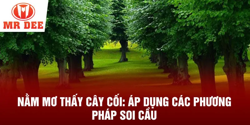 Nằm mơ thấy cây cối: áp dụng các phương pháp soi cầu