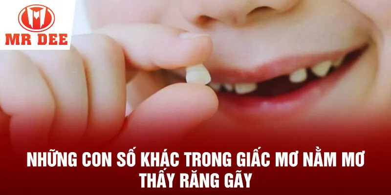 Những con số khác trong giấc mơ nằm mơ thấy răng gãy